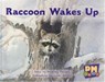 Raccoon Wakes up - Annette Smith ; Jenny Giles ; Beverley Randell - 9780170124300