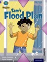 Project X Origins: Purple Book Band, Oxford Level 8: Water: Sam's Flood Plan - Simon Cheshire - 9780198301813