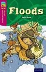 Oxford Reading Tree TreeTops Myths and Legends: Level 10: Floods - Sally Prue - 9780198446156