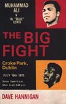 The Big Fight - Dave Hannigan - 9780224091947