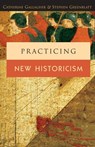 Practicing New Historicism - Catherine Gallagher ; Stephen Greenblatt - 9780226279350