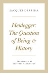 Heidegger - Jacques Derrida - 9780226678924