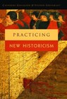 Practicing New Historicism - Catherine Gallagher ; Stephen Greenblatt - 9780226772561
