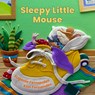 Sleepy Little Mouse - Eugenie Fernandes - 9780228106111
