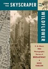 From the Skyscraper to the Wildflower - Professor Nick Yablon - 9780231203531
