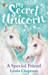 My Secret Unicorn: A Special Friend - Linda Chapman - 9780241354230