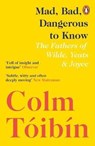 Mad, Bad, Dangerous to Know - Colm Toibin - 9780241354421