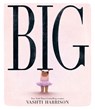 Big - Vashti Harrison - 9780241561904