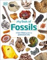 My Book of Fossils - DK ; Dean R. Lomax - 9780241571569