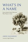 What's in a Name - Amer Dahamshe - 9780253075178