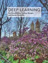 Deep Learning - Ian Goodfellow ; Yoshua Bengio ; Aaron Courville - 9780262337373