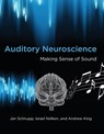 Auditory Neuroscience - Jan (Professor Schnupp ; Israel (Professor Nelken ; Andrew J. (Oxford University) King - 9780262518024