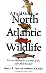 A Field Guide to North Atlantic Wildlife - Noble S. Proctor ; Patrick J. Lynch - 9780300106589