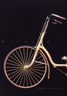 Bicycle: The History - David V. Herlihy - 9780300120479
