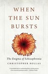 When the Sun Bursts - Christopher Bollas - 9780300223651