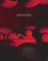 Louise Bourgeois, Freud's Daughter - Philip Larratt-Smith - 9780300247244