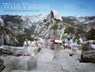 Wild Visions - Ben A Minteer ; Mark Klett ; Stephen J. Pyne - 9780300260724