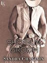 Shotgun Groom - Sandra Chastain - 9780307817297