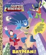 Batman! (DC Super Friends) - Billy Wrecks - 9780307931030