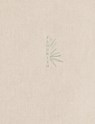 Holy Bible - Zondervan Publishing House - 9780310462477