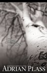 Silver Birches - Adrian Plass - 9780310564201