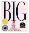 Big (Caldecott Medal Winner & Coretta Scott King Honor Title) - Vashti Harrison - 9780316353229