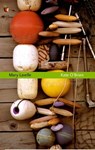 Mary Lavelle - Kate O'Brien - 9780349008837