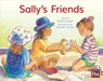 Sally's Friends: Leveled Reader Blue Fiction Level 9 Grade 1 - Hmh Hmh - 9780358120322