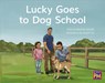 Lucky Goes to Dog School: Leveled Reader Yellow Fiction Level 7 Grade 1 - Hmh Hmh - 9780358121664
