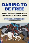 Daring to Be Free: Rebellion and Resistance of the Enslaved in the Atlantic World - Sudhir Hazareesingh - 9780374611071