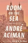 Room on the Sea - André Aciman - 9780374613419