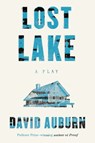 Lost Lake - David Auburn - 9780374714147