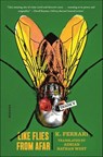 Like Flies from Afar - K. Ferrari - 9780374718831
