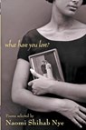 What Have You Lost? - Naomi Shihab Nye ; Michael Nye - 9780380733071