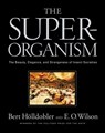 The Superorganism - Bert Holldobler ; Edward O. (Harvard University) Wilson - 9780393067040