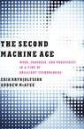 The Second Machine Age - Erik (MIT) Brynjolfsson ; Andrew (MIT) McAfee - 9780393239355