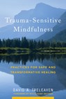 Trauma-Sensitive Mindfulness - David A. Treleaven - 9780393709780