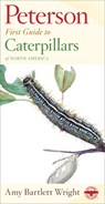 First Guide to Caterpillars - Roger Tory Peterson - 9780395911846