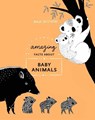 Amazing Facts About Baby Animals - Maja Safstrom - 9780399580680