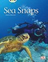 Bug Club Independent Non Fiction Year 1 Green A Sea Snaps - Diana Noonan - 9780433004462