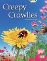 Bug Club Independent Non Fiction Year 1 Green B Creepy Crawlies - Pauline Cartwright - 9780433004486