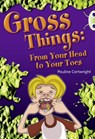 Bug Club Independent Year Two Non Fiction White B Gross Things: From Your Head to Your Toes - Pauline Cartwright - 9780433004837