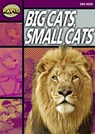 Rapid Reading: Big Cats Small Cats (Stage 1, Level 1A) - Dee Reid - 9780435907846