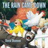 The Rain Came Down - David Shannon - 9780439050210