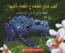 Q A HOW DO FROGS SWALLOW THEIR EYES - SCHOLASTIC - 9780439857758