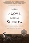 Labor of Love, Labor of Sorrow - Jacqueline Jones - 9780465018819