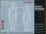 The Measure of Man and Woman - Alvin R. Tilley ; Henry Dreyfuss Associates - 9780471099550