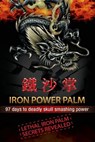 Iron Power Palm: 97 days to skull smashing power - Gareth Morgan Thomas - 9780473182212