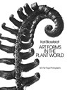 Art Forms in the Plant World - Karl Blossfeldt - 9780486249902