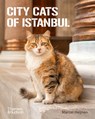 City Cats of Istanbul - Marcel Heijnen - 9780500298411